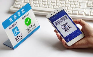 流動的邊界 港深移動支付的天壤之別
